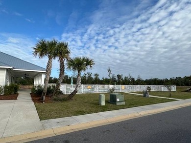 Honey, I want to live at Riverwalk Landing, a 55+ Resort - photo 3