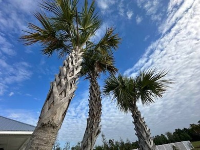 Honey, I want to live at Riverwalk Landing, a 55+ Resort - photo 9