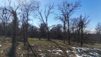 1+ Acre in subdivision on Richland Chambers Lake - photo 24