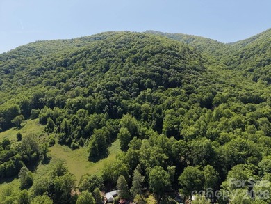 36+ acres of prime acreage in Maggie Valley off of - photo 3