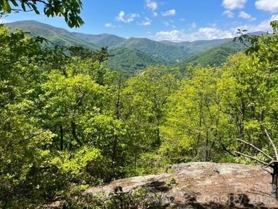36+ acres of prime acreage in Maggie Valley off of - photo 5