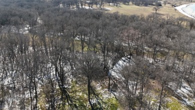 1+ Acre in subdivision on Richland Chambers Lake - photo 32
