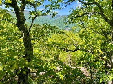 36+ acres of prime acreage in Maggie Valley off of - photo 6
