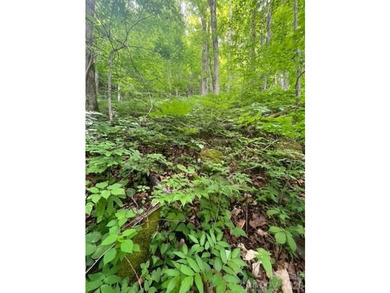 36+ acres of prime acreage in Maggie Valley off of - photo 7