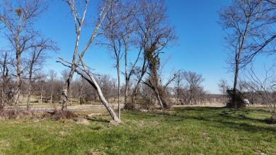 1+ Acre in subdivision on Richland Chambers Lake - photo 19