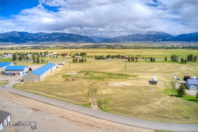 Madison River Commercial Sale Pending in Ennis Montana