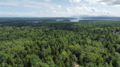 These individual subdivision lots are what you've been waiting - photo 11