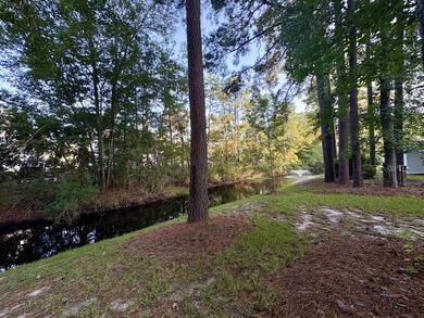 Welcome to Ocean Pines, a highly sought-after 55+ community in - photo 15
