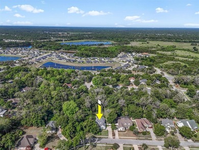 Tucked beneath a canopy of mature trees in the gated community - photo 46