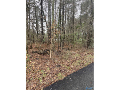 Neely Henry Lake Lot For Sale in Southside Alabama