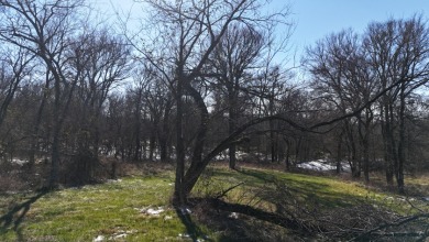 1+ Acre in subdivision on Richland Chambers Lake - photo 28