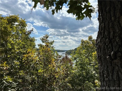 Premier lakefront lot in Phase II of Eagle Bay with stunning - photo 6