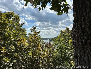 Premier lakefront lot in Phase II of Eagle Bay with stunning - photo 6
