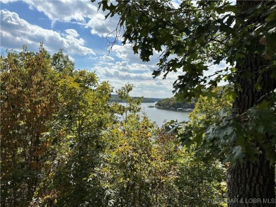 Premier lakefront lot in Phase II of Eagle Bay with stunning - photo 7