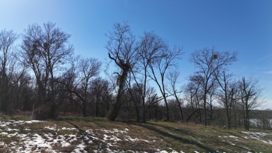 1+ Acre in subdivision on Richland Chambers Lake - photo 13