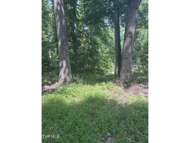 Lake Lot For Sale in Butler, Tennessee