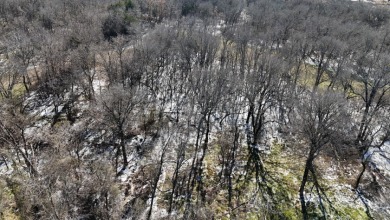1+ Acre in subdivision on Richland Chambers Lake - photo 36