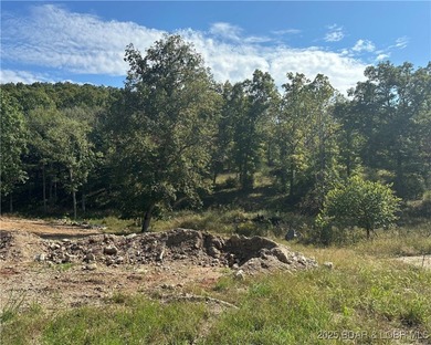 Build Your Dream Home in Woodhaven Estates! This cleared - photo 3