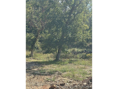 Build Your Dream Home in Woodhaven Estates! This cleared - photo 5