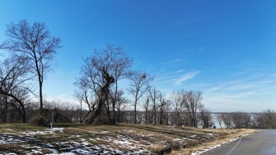 1+ Acre in subdivision on Richland Chambers Lake - photo 6