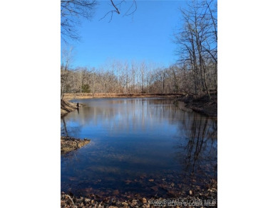Lake Acreage For Sale in Gravois Mills, Missouri