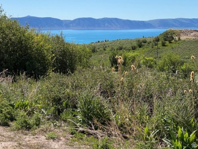 Lake Lot For Sale in Fish Haven, Idaho