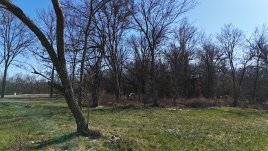 1+ Acre in subdivision on Richland Chambers Lake - photo 17