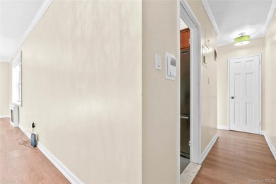North Flushing Co-op for Sale - Fully Renovated 1 Bedroom, 1 - photo 13