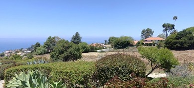 Views, Views, Views of the Pacific Ocean stretching to Malibu - photo 48
