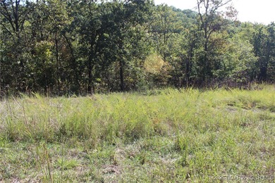 Lake of the Ozarks Lot For Sale in Laurie Missouri
