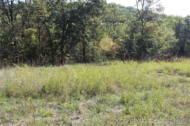 Lake of the Ozarks Lot For Sale in Laurie Missouri