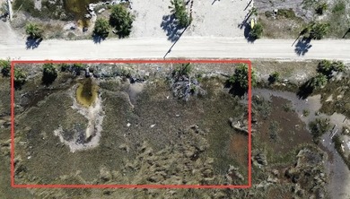 Motivated Seller! Bring your offers! 0.27 acre lot overlooking - photo 3