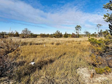 Motivated Seller! Bring your offers! 0.27 acre lot overlooking - photo 4