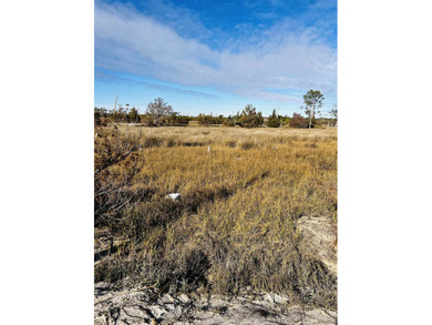 Motivated Seller! Bring your offers! 0.27 acre lot overlooking - photo 5