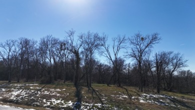 1+ Acre in subdivision on Richland Chambers Lake - photo 14