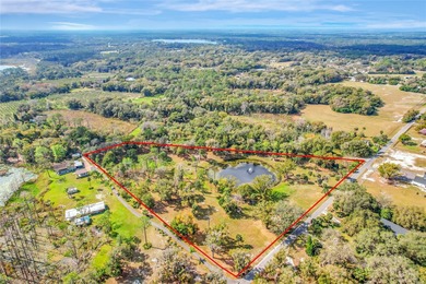 (private lake, pond, creek) Acreage For Sale in Geneva Florida