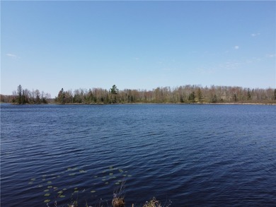 Lake Acreage Sale Pending in Ojibwa, Wisconsin