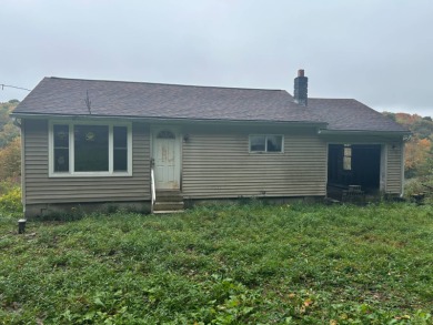 Lake Home For Sale in Greene, New York