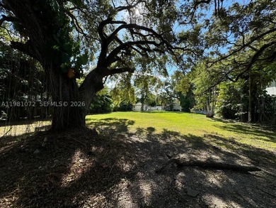 Exceptional vacant lot in the heart of Coconut Grove offering an - photo 3
