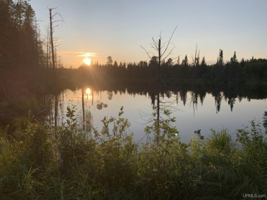 Lake Acreage For Sale in Republic, Michigan