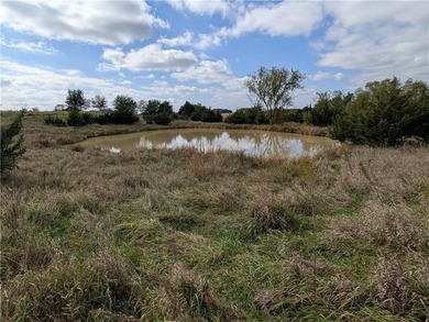 (private lake, pond, coastal) Acreage For Sale in Ridgeway Missouri