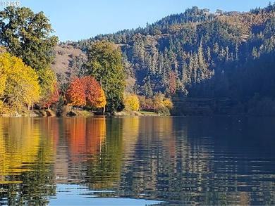 Luxury waterfront living on the backwaters of the North Umpqua - photo 46
