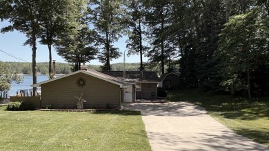 Lake Home For Sale in Lake, Michigan