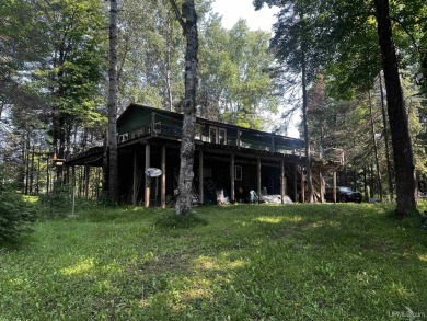 Lake Home For Sale in Republic, Michigan