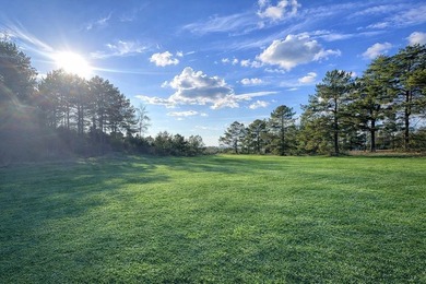 Discover two beautiful restricted lots in the desirable Cypress - photo 11