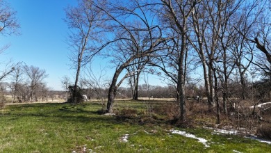 1+ Acre in subdivision on Richland Chambers Lake - photo 35