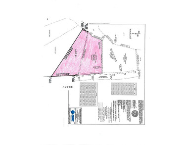 Discover two beautiful restricted lots in the desirable Cypress - photo 12