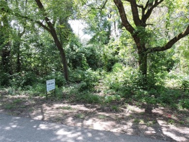 Lake Lot For Sale in Tool, Texas