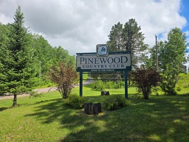 True Northwoods home with desirable Western Exposure on 400 acre - photo 29