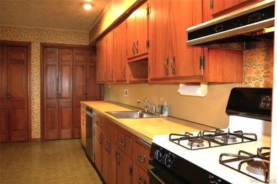 Endless Potential - Bring Your Vision! Calling all investors - photo 5